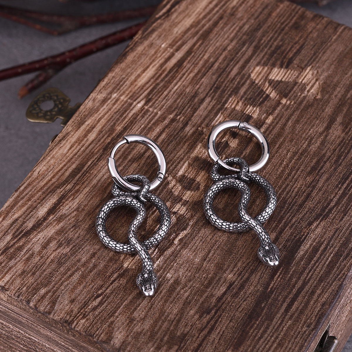 Punk Twisted Snake Street Tail Snake Earrings for Men and Women Party Earrings Glamorous Everyday Gifts Stainless Steel Jewelry