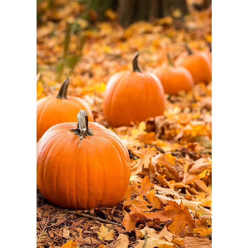 Autumn Yellow Leaves Fall View Landscape Wall Art Print Canvas Painting Pumpkin Halloween Poster Picture Living Room Home Decor