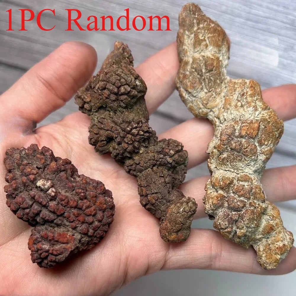 1PC rDinosaur Shit Stone Pet House Decoration, suitable for home and office decoration, a perfect gift for Halloween