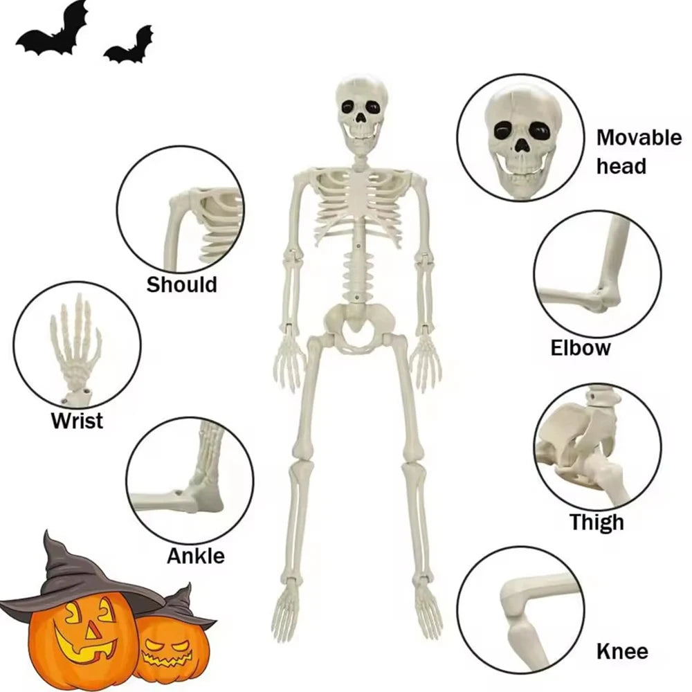 Halloween Skeleton Decoration Spooky Scary Skeleton with Movable Joints Posable Skeleton Decoration 40cm for Indoor Outdoor