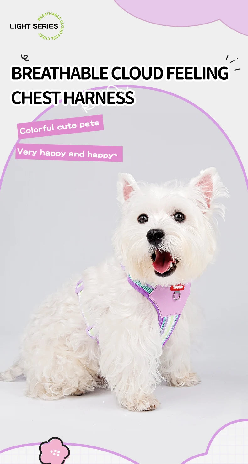 Dopamine Dog Harness and Leash Set Lightweight Breathable Color Block Pet Vest for Small Medium Dogs Outdoor Walking