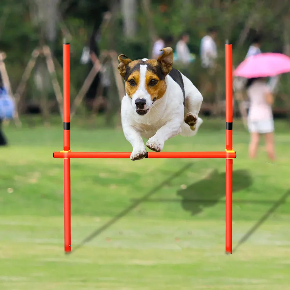 Outdoor Dog Obstacle Training Set Pet Agility Equipment Jumping Set  Dog Training Accessories Dog Obstacle Course Pet Supplies