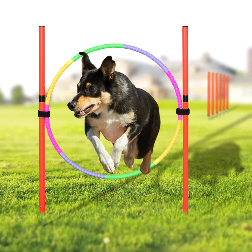 Outdoor Dog Obstacle Training Set Pet Agility Equipment Jumping Set  Dog Training Accessories Dog Obstacle Course Pet Supplies