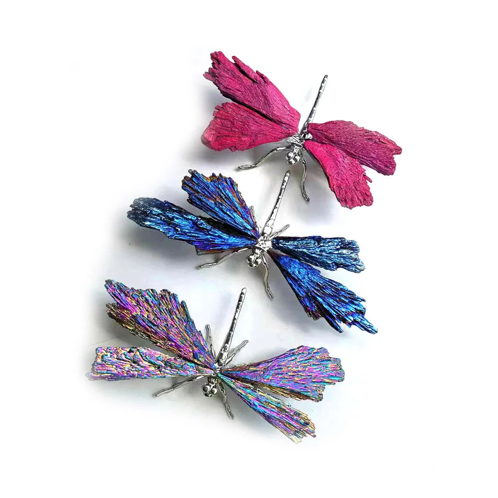 Rainbow Electroplated Black Tourmaline Kyanite Dragonfly Natural Crystal Aura Quartz Mineral For Home Decor Ornaments Gifts