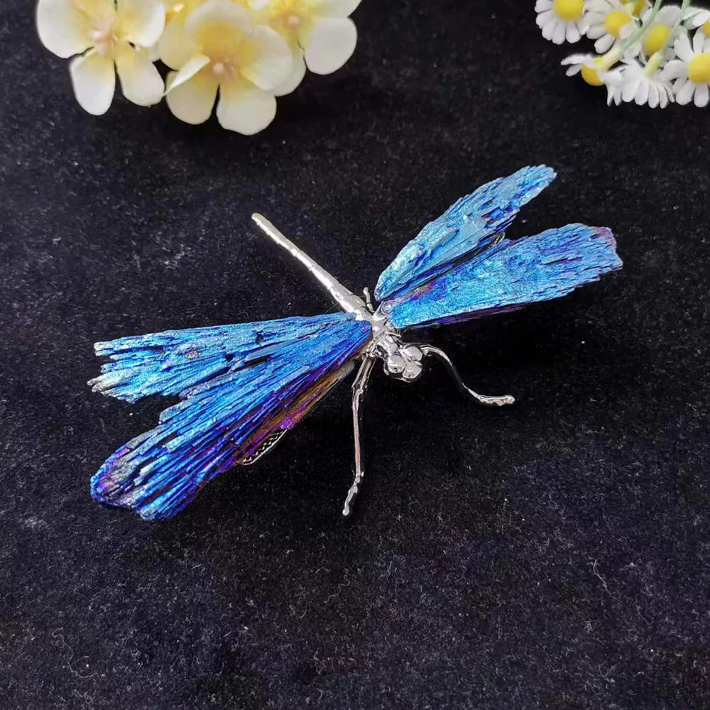 Rainbow Electroplated Black Tourmaline Kyanite Dragonfly Natural Crystal Aura Quartz Mineral For Home Decor Ornaments Gifts