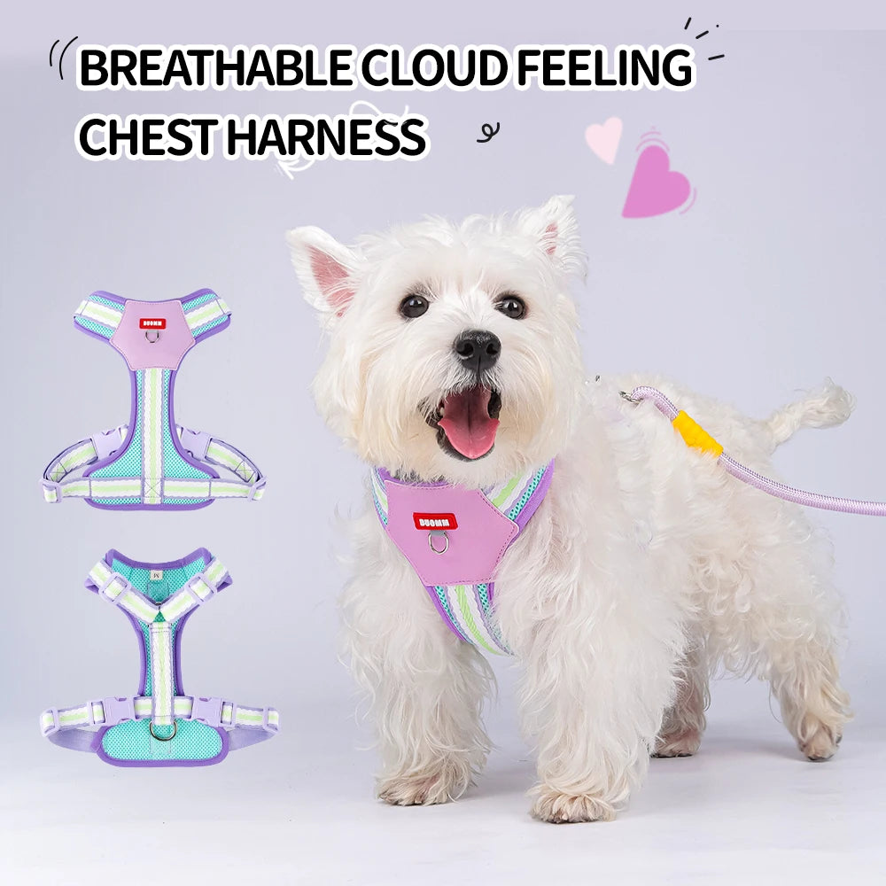 Dopamine Dog Harness and Leash Set Lightweight Breathable Color Block Pet Vest for Small Medium Dogs Outdoor Walking