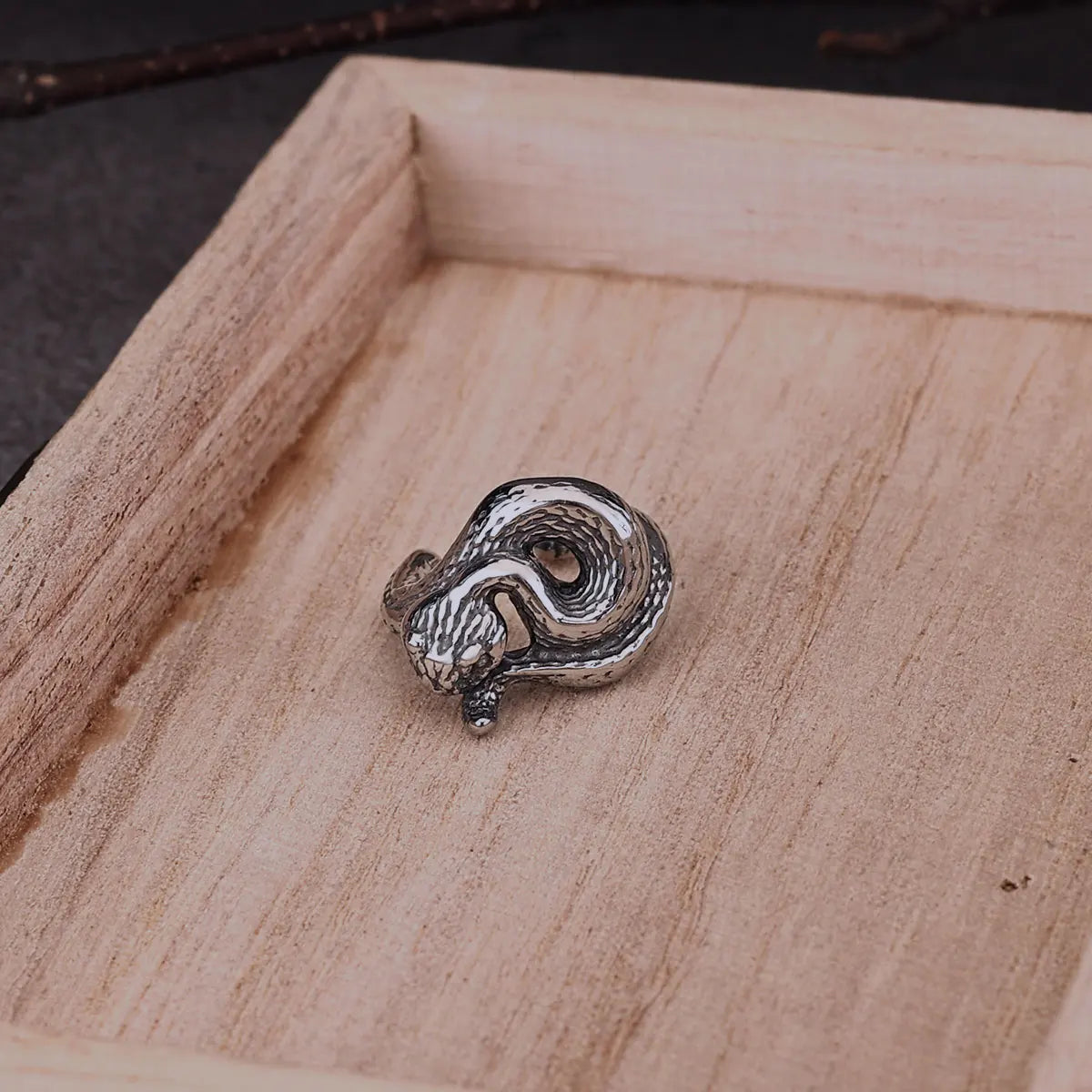 Fashion Tiny Women Ear Clip Earrings Stainless Steel Snake Shape Jewelry Girls Punk Hip Hop Wedding Party Earring Gift