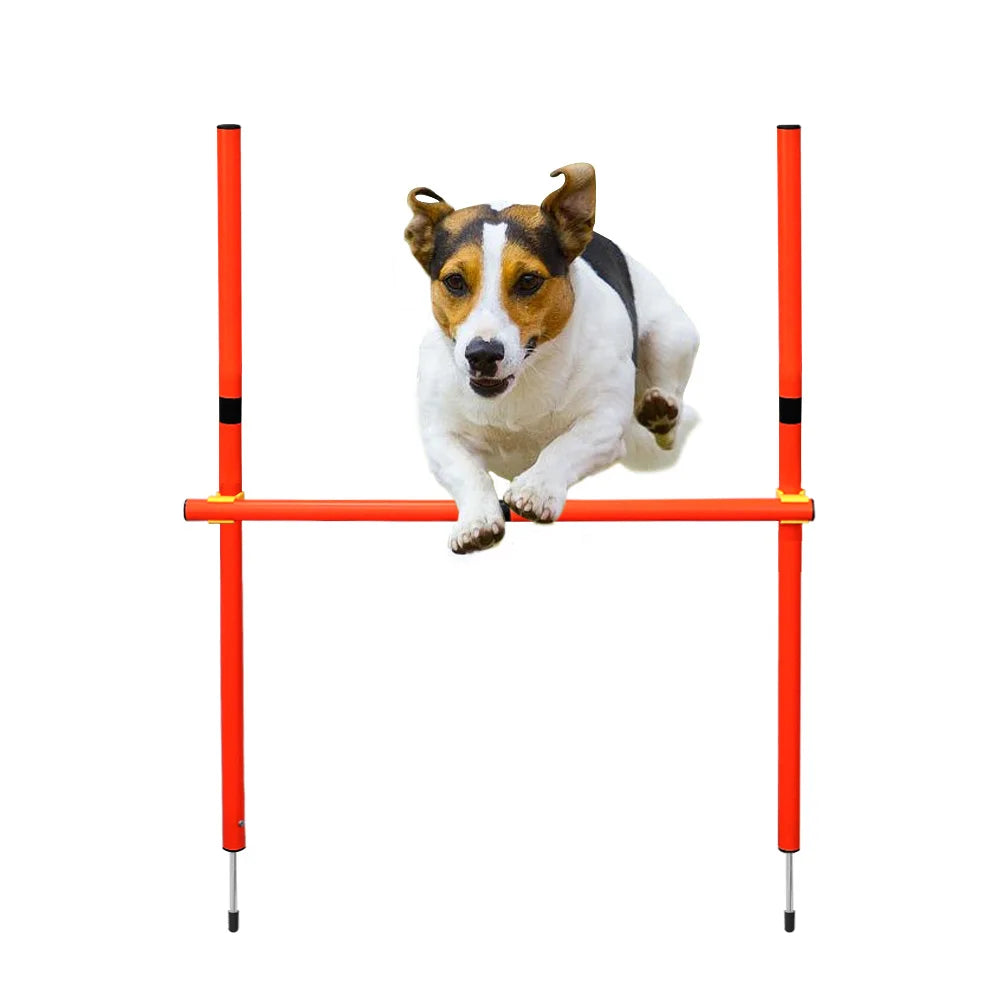 Outdoor Dog Obstacle Training Set Pet Agility Equipment Jumping Set  Dog Training Accessories Dog Obstacle Course Pet Supplies