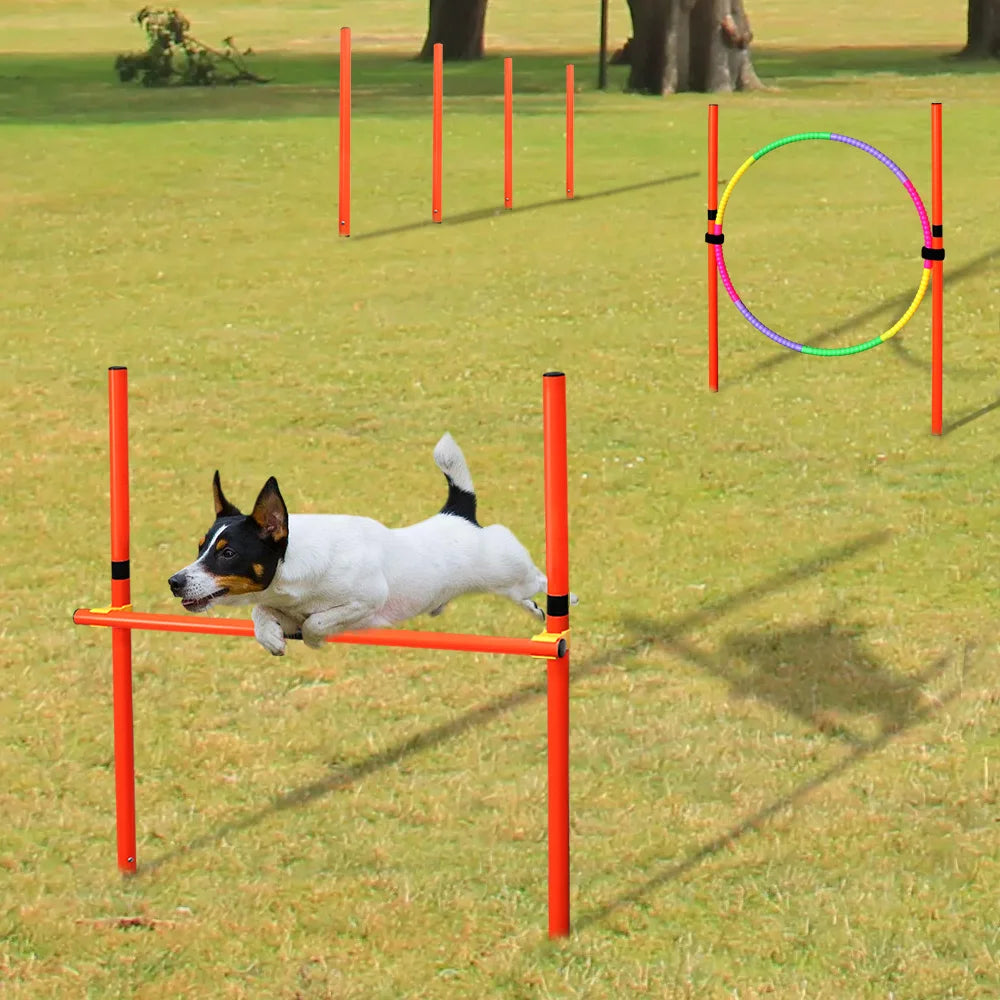 Outdoor Dog Obstacle Training Set Pet Agility Equipment Jumping Set  Dog Training Accessories Dog Obstacle Course Pet Supplies