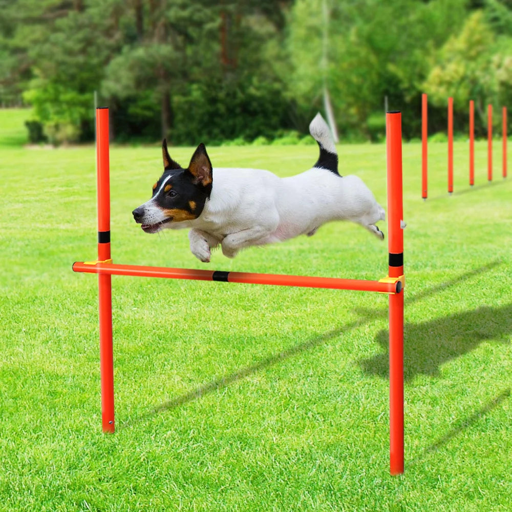 Outdoor Dog Obstacle Training Set Pet Agility Equipment Jumping Set  Dog Training Accessories Dog Obstacle Course Pet Supplies