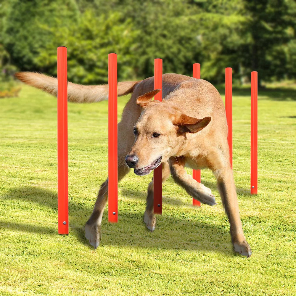 Outdoor Dog Obstacle Training Set Pet Agility Equipment Jumping Set  Dog Training Accessories Dog Obstacle Course Pet Supplies