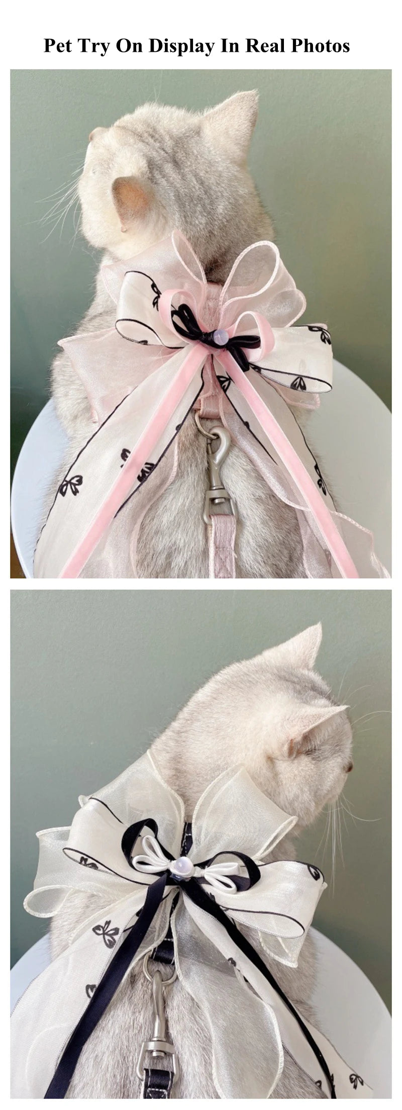 New Pet Cat Dog Traction Suit Fashion Luxury Flowers Bow lace Chest Back Traction Rope Advanced Flower Clothes Dog Walking Rope