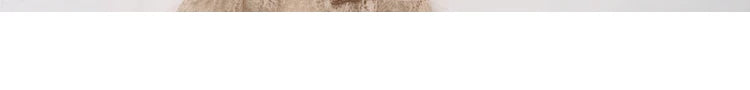 French Court Style Platinum Strap Adjustable Lace Hand Sleeves Original Design Women's Romantic Lace Oversleeves