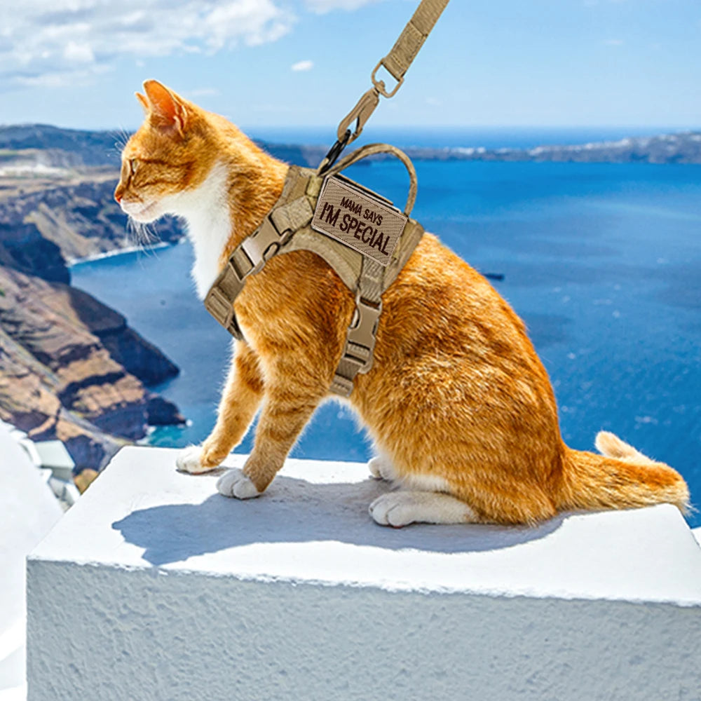 Tactical Cat Harness with Leash Set Puppy Walking Escape Proof Adjustable Pet Vest withControl Handle For Large Cats Small Dogs