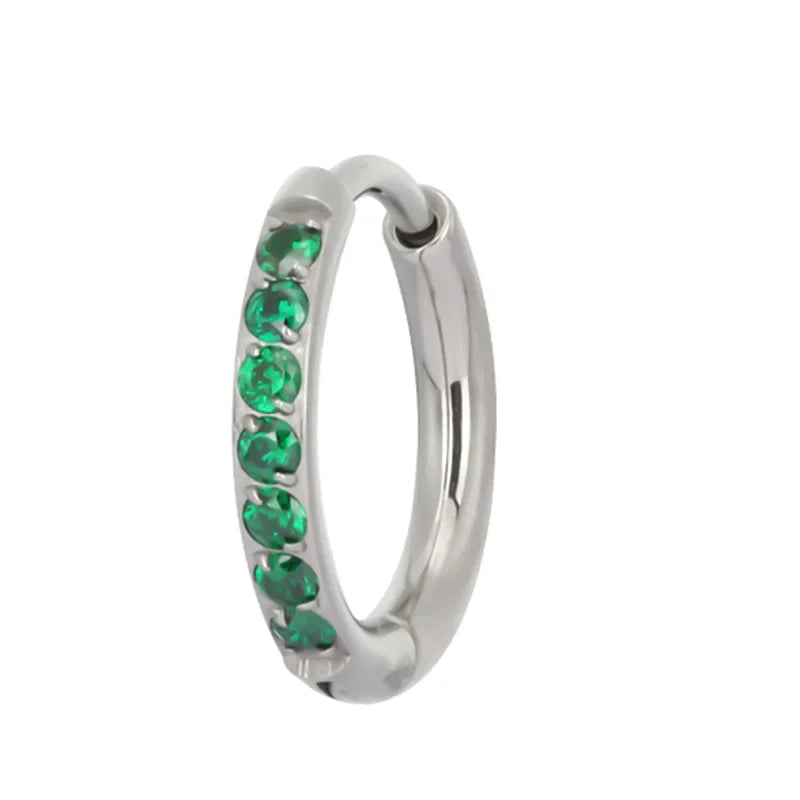 ASTM F136 Titanium PIERC Nose Ring Ear Tragus Hinged Segment Clicke Hoop CZ Paved Side Earring Large Size 8mm-14mm Body Piercing