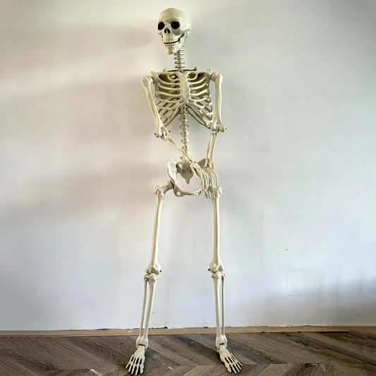 Halloween Skeleton Realistic Posable Skeleton with Movable Joints Weather-Resistant Outdoor Decorations Spooky Photo Props Party
