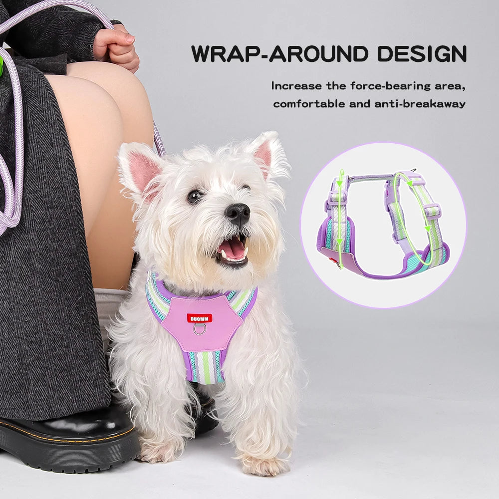 Dopamine Dog Harness and Leash Set Lightweight Breathable Color Block Pet Vest for Small Medium Dogs Outdoor Walking