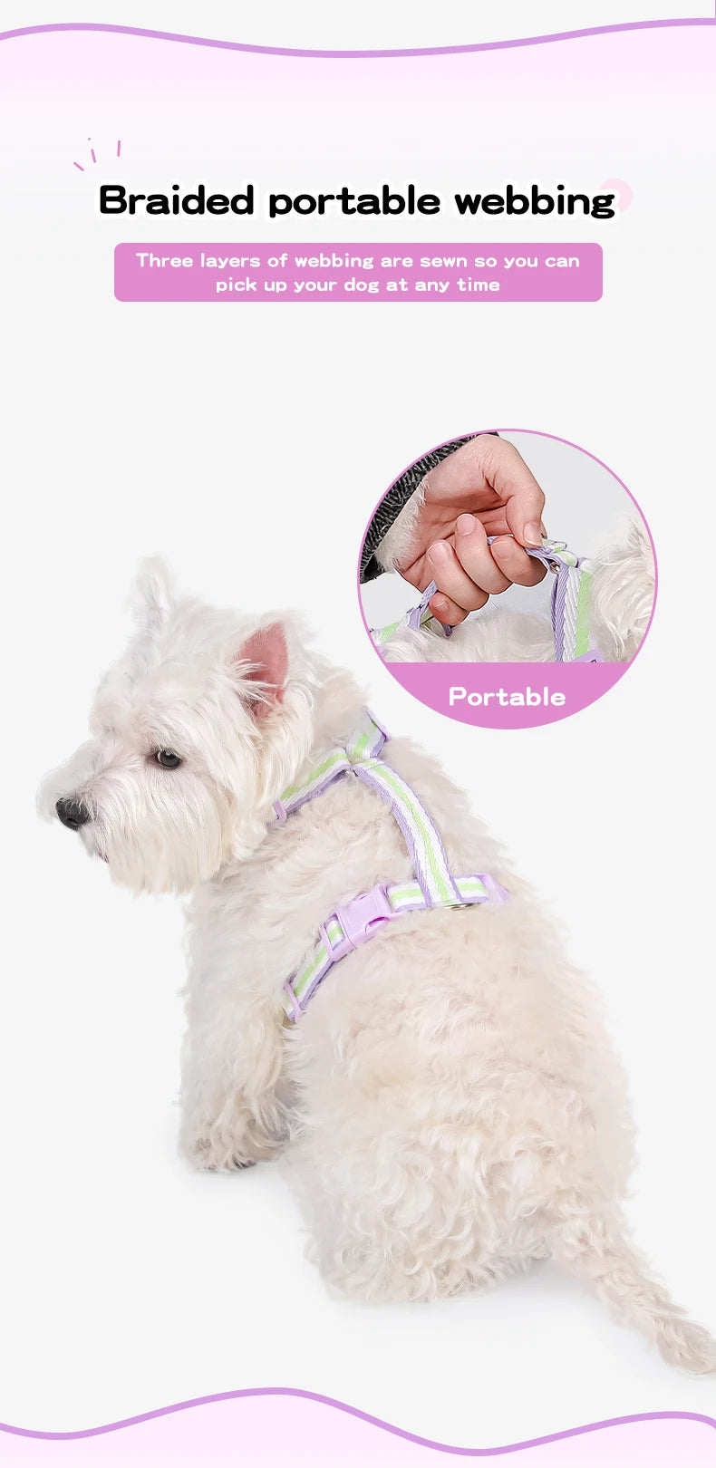 Dopamine Dog Harness and Leash Set Lightweight Breathable Color Block Pet Vest for Small Medium Dogs Outdoor Walking